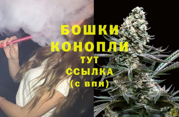 молекула духа Белокуриха