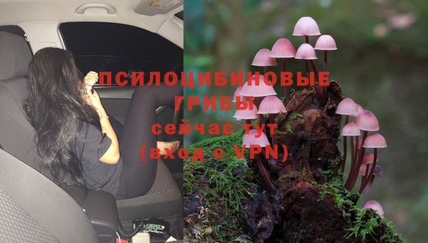 кокс Белоозёрский
