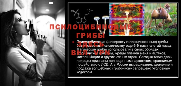 молекула духа Белокуриха