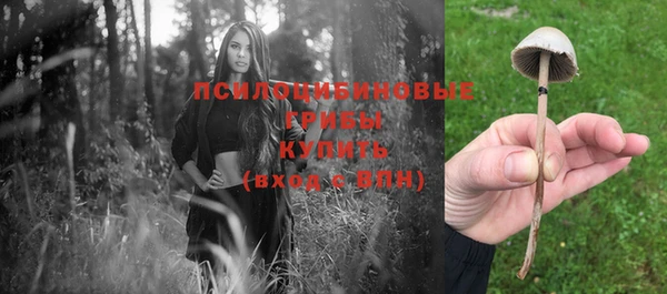 кокс Белоозёрский