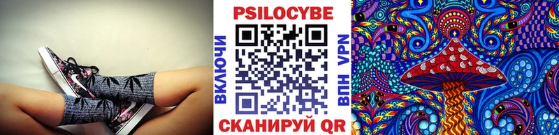 Псилоцибиновые грибы Psilocybine cubensis  Буйнакск 