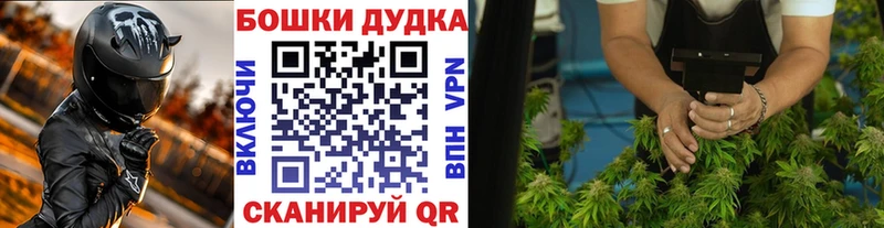 Бошки Шишки ГИДРОПОН  Буйнакск 